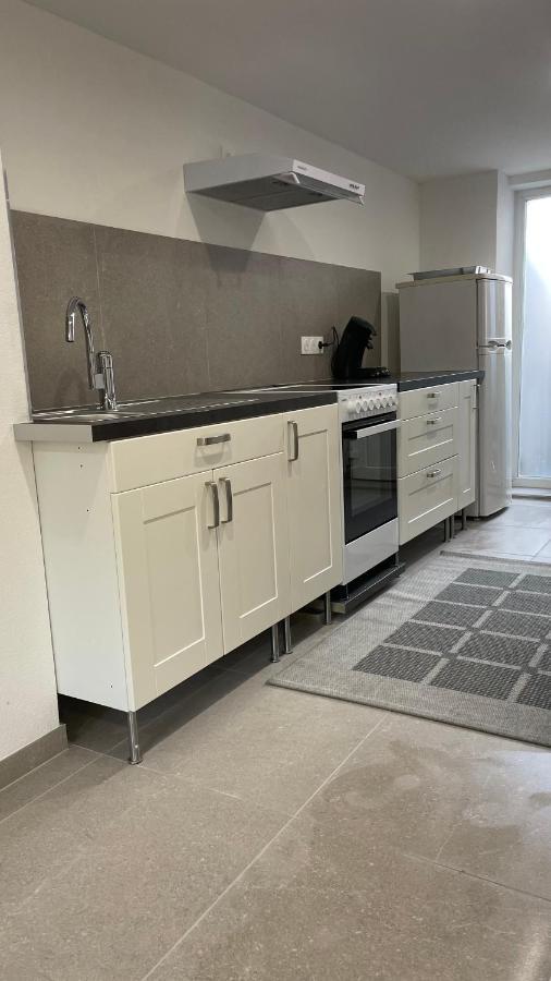 Appartement Bes,, F2 Renove Confort Avec Entree Independante فيتينهايم المظهر الخارجي الصورة