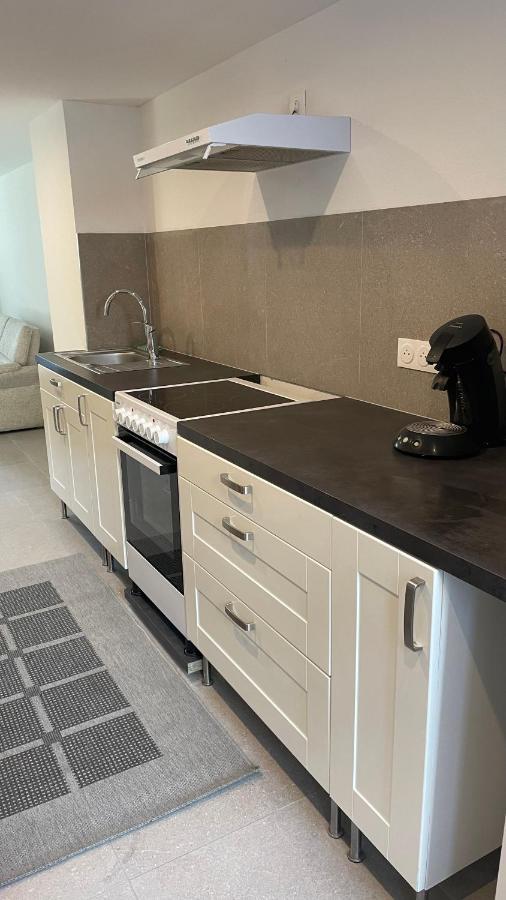 Appartement Bes,, F2 Renove Confort Avec Entree Independante فيتينهايم المظهر الخارجي الصورة